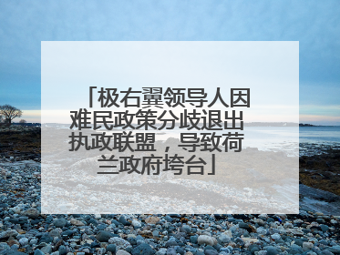 极右翼领导人因难民政策分歧退出执政联盟，导致荷兰政府垮台