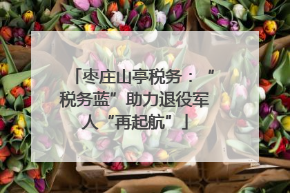 枣庄山亭税务：“税务蓝”助力退役军人“再起航”