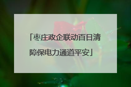 枣庄政企联动百日清障保电力通道平安