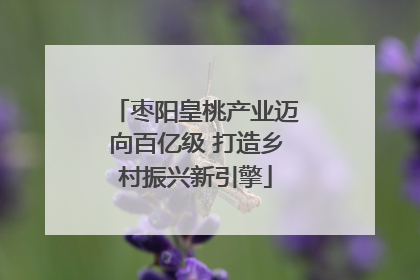 枣阳皇桃产业迈向百亿级 打造乡村振兴新引擎