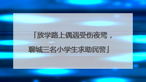 放学路上偶遇受伤夜鹭，聊城三名小学生求助民警