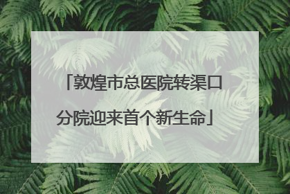 敦煌市总医院转渠口分院迎来首个新生命