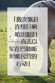 数次驱赶、连续巨响、呛出眼泪——直击以军在巴勒斯坦难民营的行动