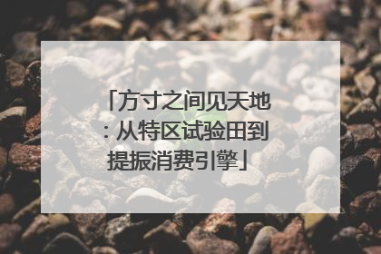 方寸之间见天地：从特区试验田到提振消费引擎