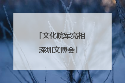 文化皖军亮相深圳文博会