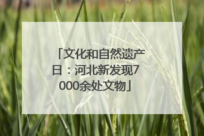 文化和自然遗产日：河北新发现7000余处文物