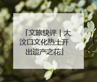 文旅快评｜大汶口文化热土开出遗产之花
