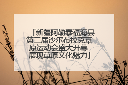 新疆阿勒泰福海县第二届沙尔布拉克草原运动会盛大开幕 展现草原文化魅力