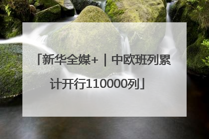 新华全媒+｜中欧班列累计开行110000列