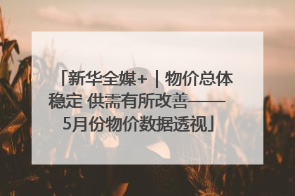 新华全媒+｜物价总体稳定 供需有所改善——5月份物价数据透视