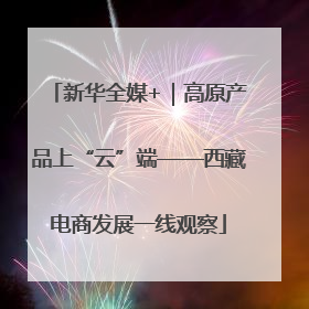 新华全媒+｜高原产品上“云”端——西藏电商发展一线观察