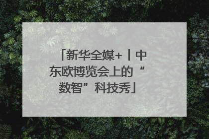 新华全媒+丨中东欧博览会上的“数智”科技秀