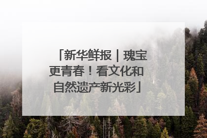 新华鲜报｜瑰宝更青春！看文化和自然遗产新光彩