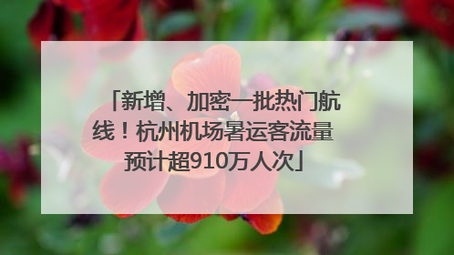 新增、加密一批热门航线！杭州机场暑运客流量预计超910万人次