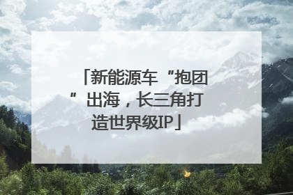 新能源车“抱团”出海，长三角打造世界级IP