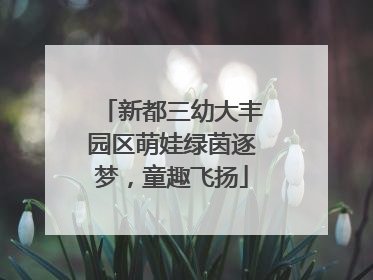 新都三幼大丰园区萌娃绿茵逐梦，童趣飞扬