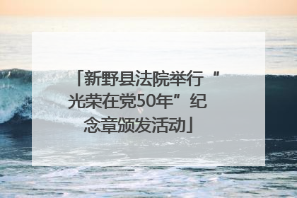 新野县法院举行“光荣在党50年”纪念章颁发活动