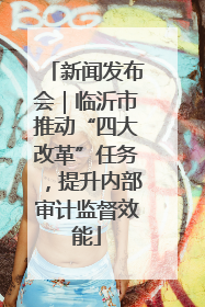 新闻发布会｜临沂市推动“四大改革”任务，提升内部审计监督效能