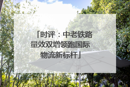 时评：中老铁路量效双增领跑国际物流新标杆
