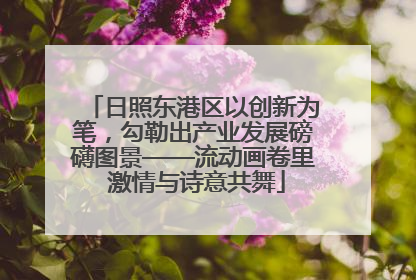 日照东港区以创新为笔，勾勒出产业发展磅礴图景——流动画卷里 激情与诗意共舞