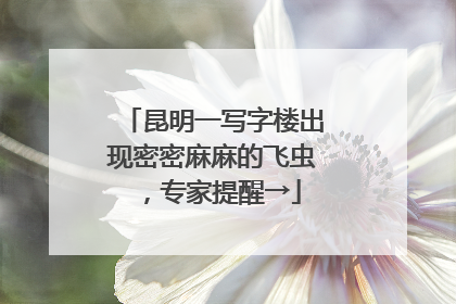 昆明一写字楼出现密密麻麻的飞虫，专家提醒→