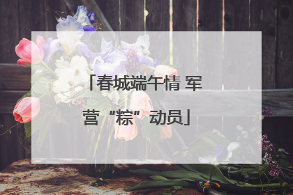 春城端午情 军营“粽”动员