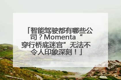 智能驾驶都有哪些公司？Momenta“穿行桥底迷宫”无法不令人印象深刻！