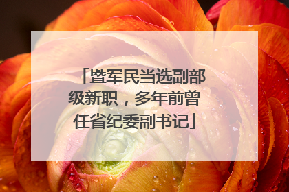 暨军民当选副部级新职，多年前曾任省纪委副书记