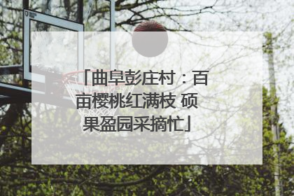 曲阜彭庄村：百亩樱桃红满枝 硕果盈园采摘忙