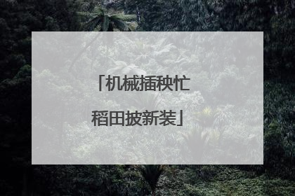 机械插秧忙 稻田披新装