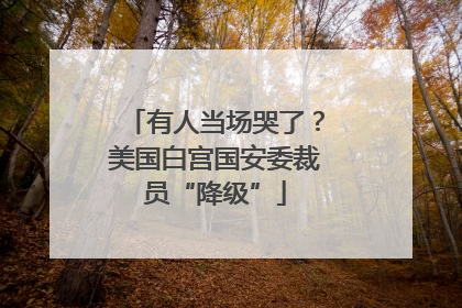 有人当场哭了？美国白宫国安委裁员“降级”