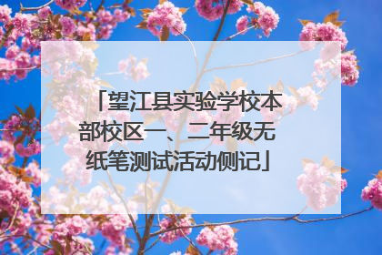 望江县实验学校本部校区一、二年级无纸笔测试活动侧记