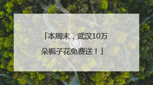 本周末，武汉10万朵栀子花免费送！
