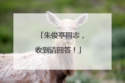 朱俊亭同志，收到请回答！