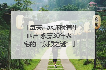 每天出水还时有牛叫声 永嘉30年老宅的“泉眼之谜”