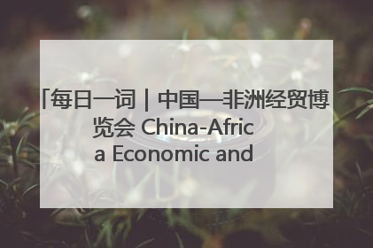 每日一词｜中国—非洲经贸博览会 China-Africa Economic and Trade Expo