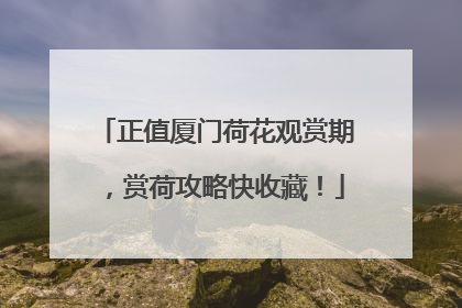 正值厦门荷花观赏期，赏荷攻略快收藏！