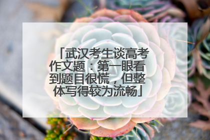 武汉考生谈高考作文题：第一眼看到题目很慌，但整体写得较为流畅