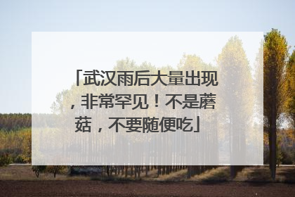 武汉雨后大量出现，非常罕见！不是蘑菇，不要随便吃