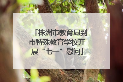 株洲市教育局到市特殊教育学校开展“七一”慰问