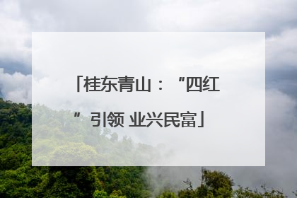 桂东青山：“四红”引领 业兴民富