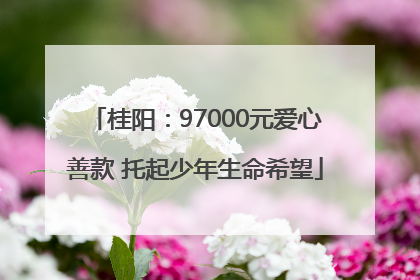桂阳：97000元爱心善款 托起少年生命希望