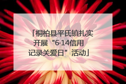 桐柏县平氏镇扎实开展“6·14信用记录关爱日”活动