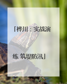 桦川：实战演练 筑堤防汛