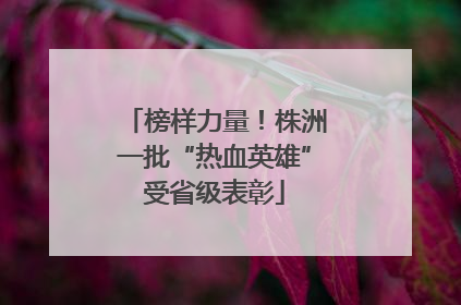 榜样力量！株洲一批“热血英雄”受省级表彰