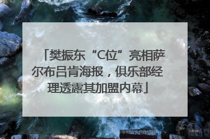 樊振东“C位”亮相萨尔布吕肯海报，俱乐部经理透露其加盟内幕