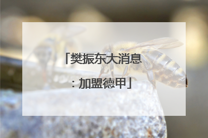 樊振东大消息：加盟德甲