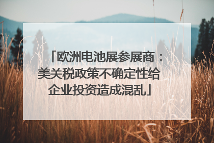 欧洲电池展参展商：美关税政策不确定性给企业投资造成混乱