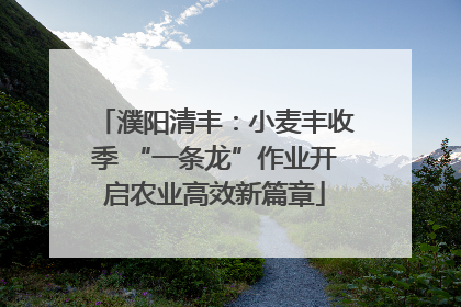 濮阳清丰：小麦丰收季 “一条龙”作业开启农业高效新篇章