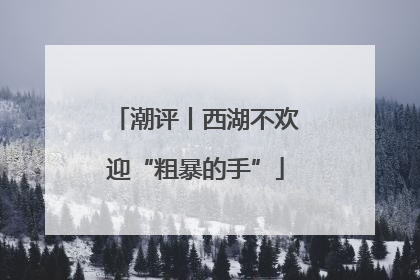 潮评丨西湖不欢迎“粗暴的手”